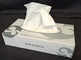 Tissues Facial 100's- Hygiene Direct